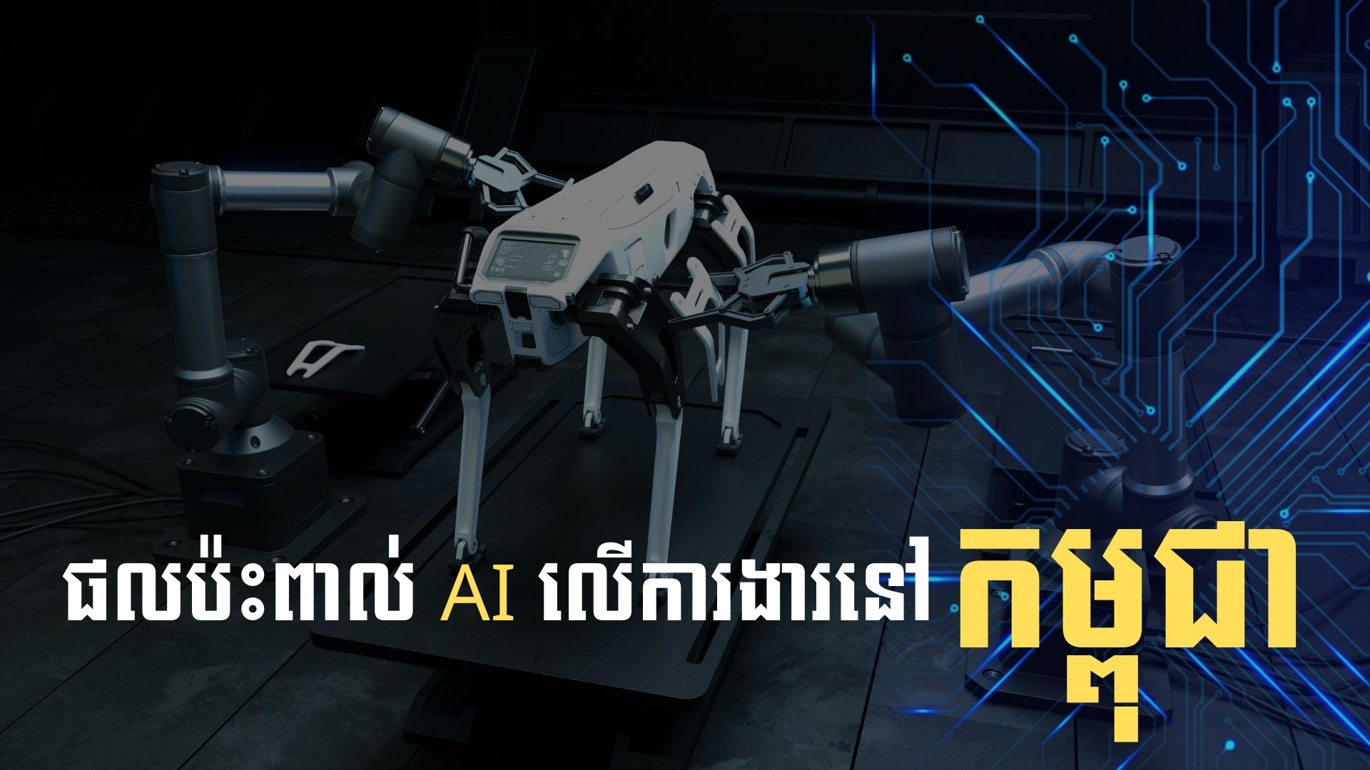 យល់ដឹងពី AI៖ តើបញ្ញាសិប្បនិម្មិតនឹងផ្លាស់ប្ដូរការងារនៅកម្ពុជាយ៉ាងដូចម្ដេច?