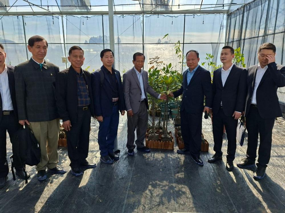 កិច្ចសហប្រតិបត្តិការ កម្ពុជា-ចិន ព្រៃឈើ